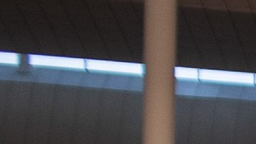 Los beisbolistas ingresaron por el Aeropuerto de Barcelona.