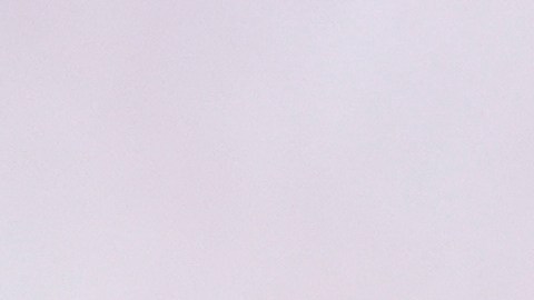 Bad Bunny será estudiado en Yale.