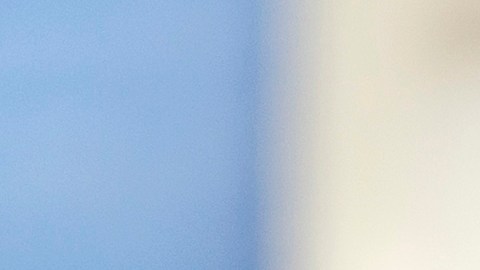Barack Obama alquiló la propiedad durante los veranos de 2009, 2010 y 2011.