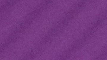 Carlo Ancelotti y Bebeto.