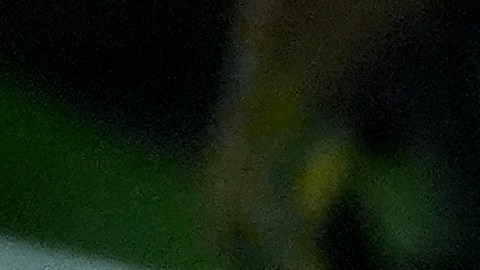 Ben Affleck tiene tres hijos con Jennifer Garner.