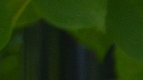 Caminar ayuda a tu salud