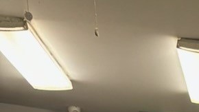 Bodegueros reportan estar agobiados por altas deudas de electricidad. Dueños de pequeños restaurantes al punto de quiebra, por la misma razón.