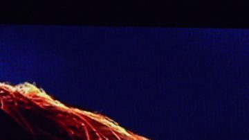 Saúl 'Canelo' Álvarez vs. William Scull.