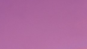 Caramelo, habitante de La Casa de los Famosos All-Stars.