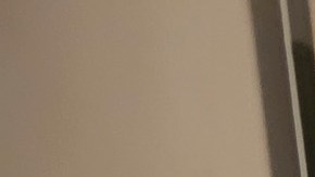 . De acuerdo con la USAD se puede congelar casi cualquier alimento.