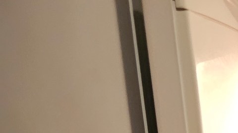 . De acuerdo con la USAD se puede congelar casi cualquier alimento.