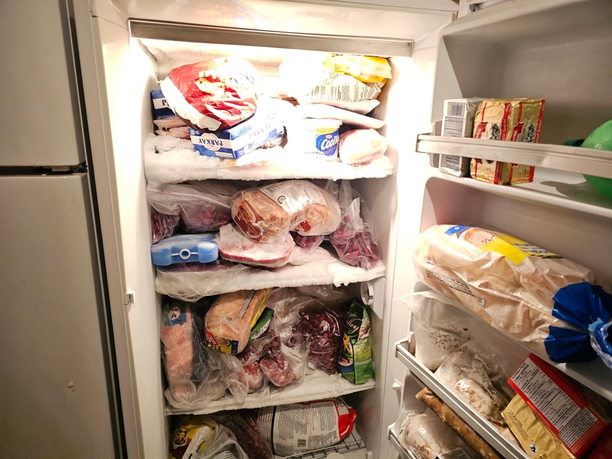 Refrigeración segura: ¿Cuándo es el momento ideal para guardar la comida?
