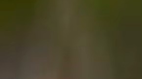 Harvard contrató a Petrova hace unos dos años, quien se graduó del prestigioso Instituto Ruso de Física y Tecnología y recibió excelentes recomendaciones.