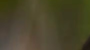 Harvard contrató a Petrova hace unos dos años, quien se graduó del prestigioso Instituto Ruso de Física y Tecnología y recibió excelentes recomendaciones.