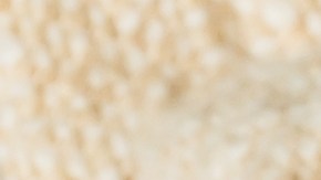 Los snacks salados y ricos en proteína son una opción para calmar los antojos.