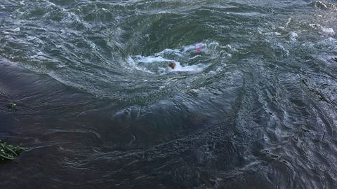 Foto referencial de un río para pesca.
