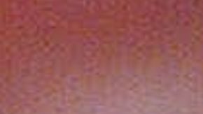 Octavio Dotel con New York Mets.