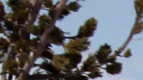 Imagen referencial de esquiador en la nieve.