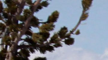 Imagen referencial de esquiador en la nieve.