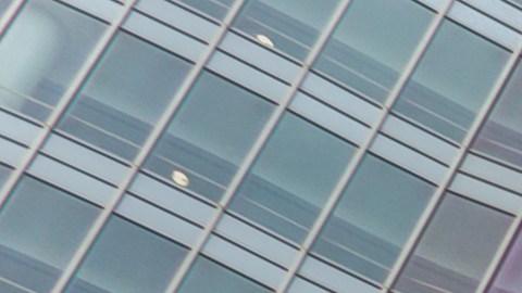 Mayo Clinic