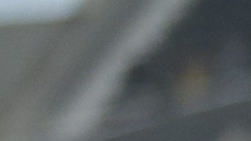 Fans Santos en Brasil.