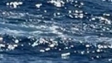 El hecho ocurrió el viernes, pero fue reportado el domingo.