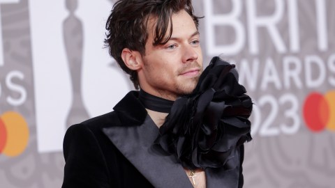Harry Styles compró dos propiedades vecinas en 2019 y ahora quiere convertirlas en una gran mansión.