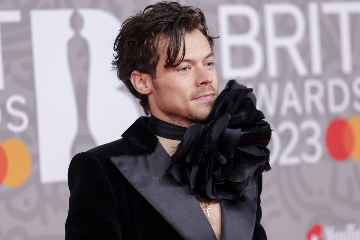 Aseguran que Harry Styles tendrá que construir un refugio para murciélagos en su mansión de Londres