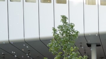 "Década en Downtown" activará el edificio del Museo y el vecindario circundante con festividades para visitantes de todas las edades. 