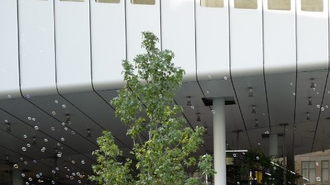 "Década en Downtown" activará el edificio del Museo y el vecindario circundante con festividades para visitantes de todas las edades. 