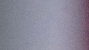 Javier Mier destaca el compromiso de Chivas en sumar títulos.