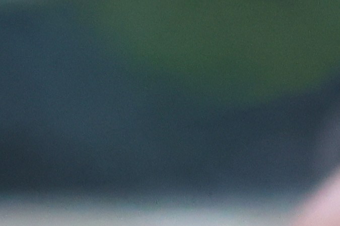 Fernando Gago habla sobre la negociación para llegar a Boca Juniors.