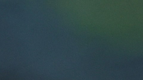 Fernando Gago habla sobre la negociación para llegar a Boca Juniors.