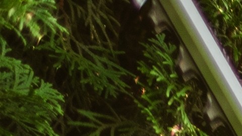 Jardinero