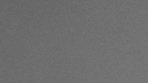 Krystal Rodriguez (1)