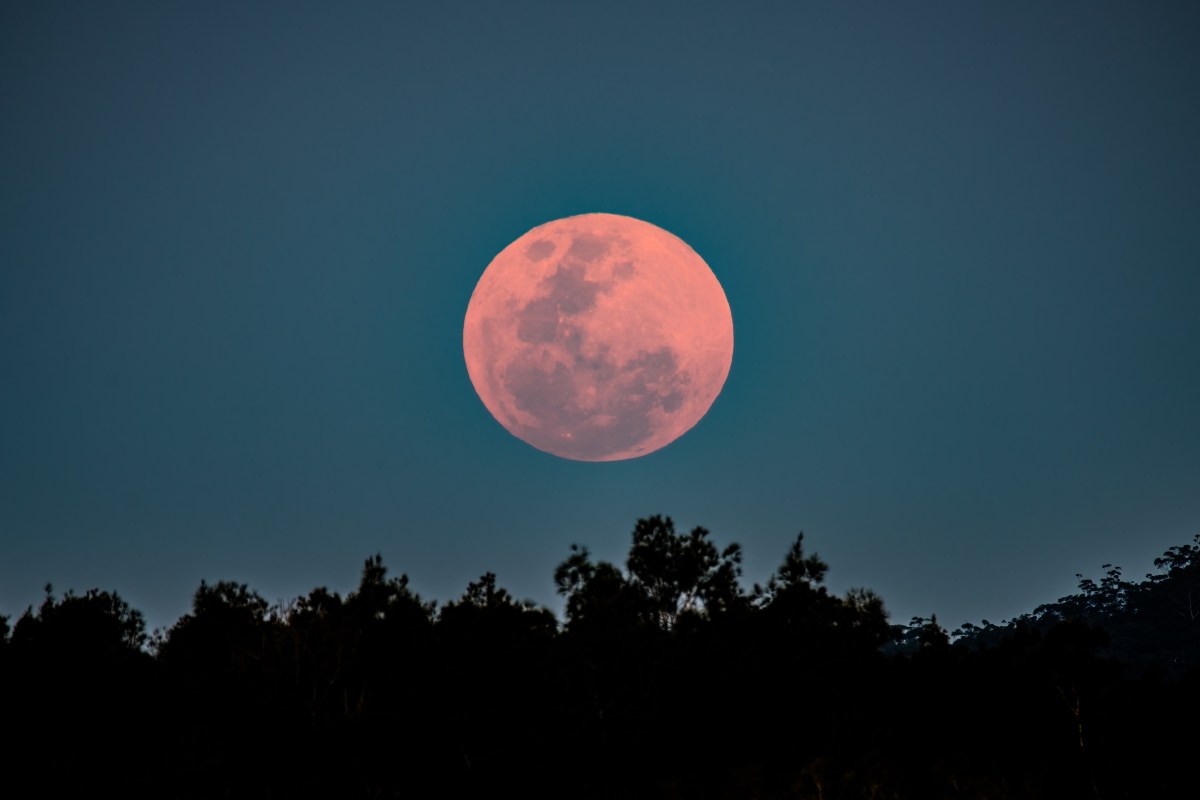 La Luna Rosa brillará en Nueva York: cómo y cuando verla