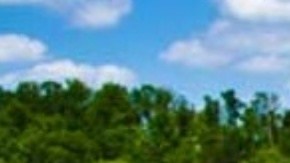 El lago Smith se encuentra ubicado en el condado de Cullman.