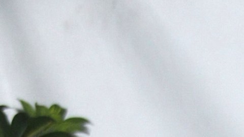 Laura Bozzo, presentadora de televisión.