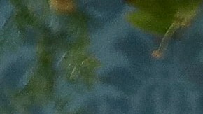 Lele Pons está en la espera de su primera hijo.