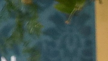 Lele Pons está en la espera de su primera hijo.