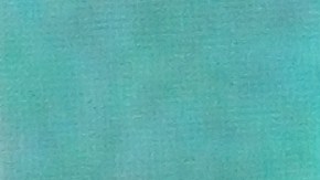 Lupillo Rivera, cantante de música regional mexicana.