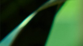 La icónica cadena de comida rápida lanza un menú muy variado en gustos, texturas y sabores.