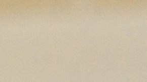 El limón es un limpiador natural por su alta concentración de ácido cítrico, según investigaciones científicas.