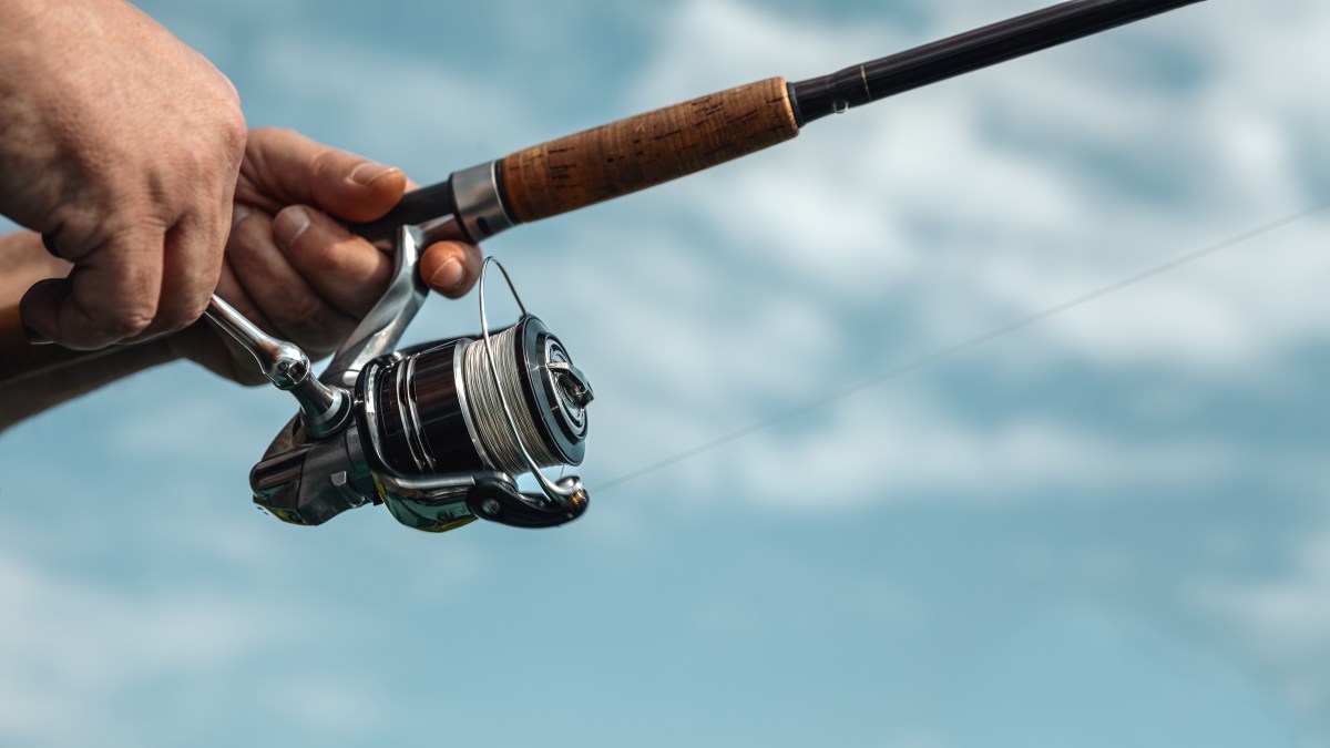 Pescador rompe récord: Captura un pez caimán de 70 kilos en Texas