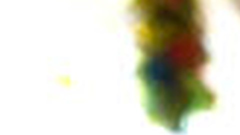 Real ID