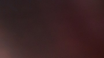 Una experta explica cuando se deben refrigerar los huevos, para evitar riesgo de enfermedades.