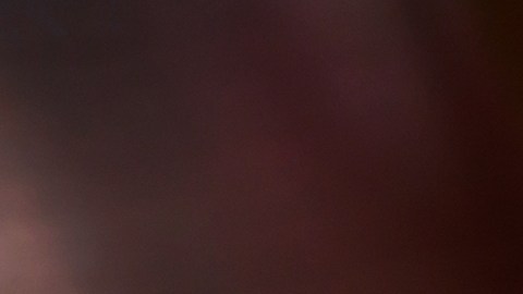 Una experta explica cuando se deben refrigerar los huevos, para evitar riesgo de enfermedades.