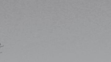 Se confirmó la triste noticia del fallecimiento del cantante Rubby Pérez en Santo Domingo, República Dominicana.