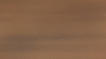 La sal es un elemento clave a la hora de cocicar, sin embargo hay alguias alternantivas naturales para sustitiurlo y disminuir su consumo.
