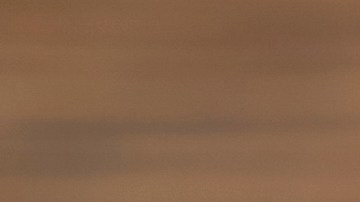 La sal es un elemento clave a la hora de cocicar, sin embargo hay alguias alternantivas naturales para sustitiurlo y disminuir su consumo.