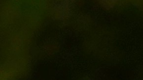 Salma Hayek denunció ser víctima del acoso de Harvey Wenstein.