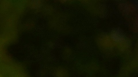 Salma Hayek denunció ser víctima del acoso de Harvey Wenstein.