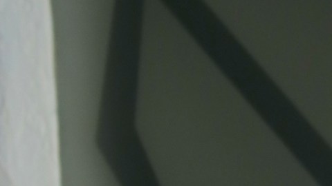 Salvador Zerboni, actor mexicano.