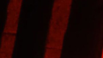 Shakira y Maluma presentaron su dúo "Chantaje" en su concierto en Medellín.